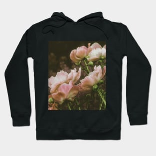 Peonies blooming romantic photo Hoodie